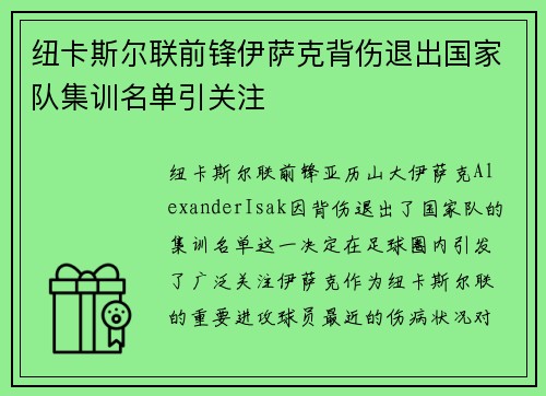 纽卡斯尔联前锋伊萨克背伤退出国家队集训名单引关注