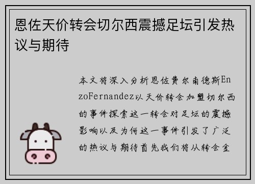 恩佐天价转会切尔西震撼足坛引发热议与期待